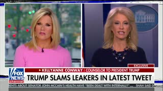 Conway says White House has a plan to take on leakers