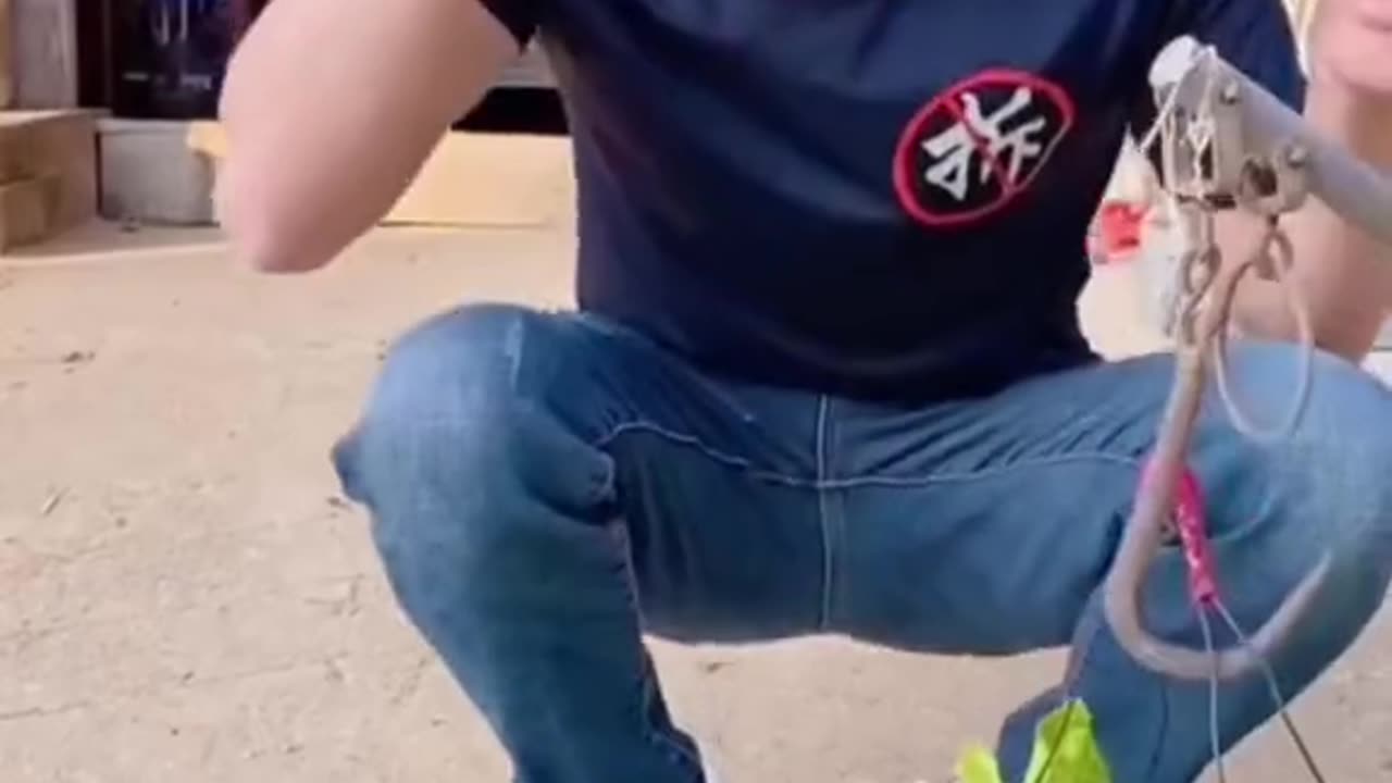 Funny videos