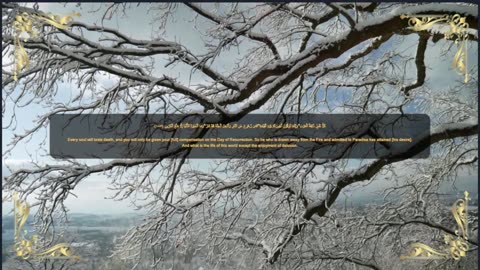Islam Quranic verses