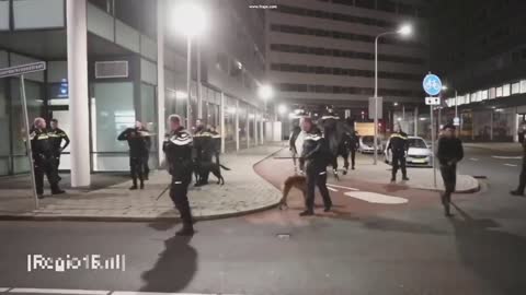 ENTIRE CONTINENT OF EUROPE TERRORIZED BY ILLEGAL ALIENS