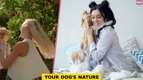 9 Ways to Tell Your Dog You Love Them