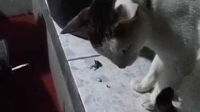 Feeding time