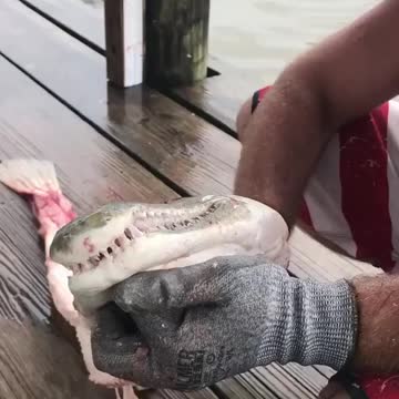 He stole my clothes 😞