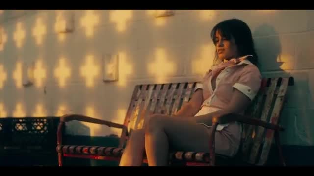 Shwan Mednes & Camila Cabello : señorita