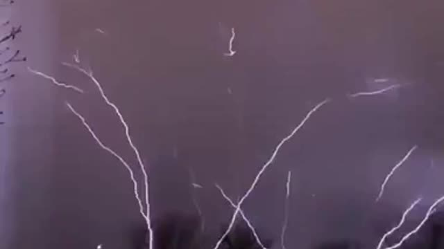 Trees of lightning