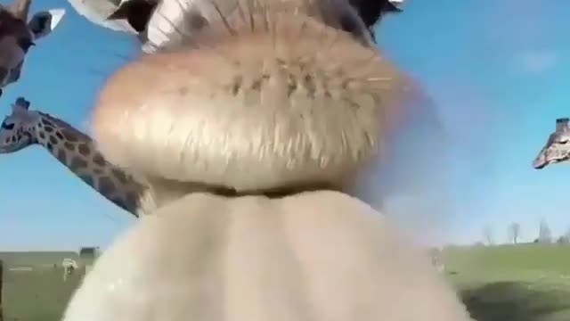 he clean my camera