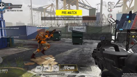 The shipment king