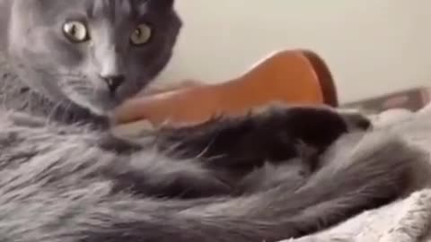 Slurpy slurp slurp