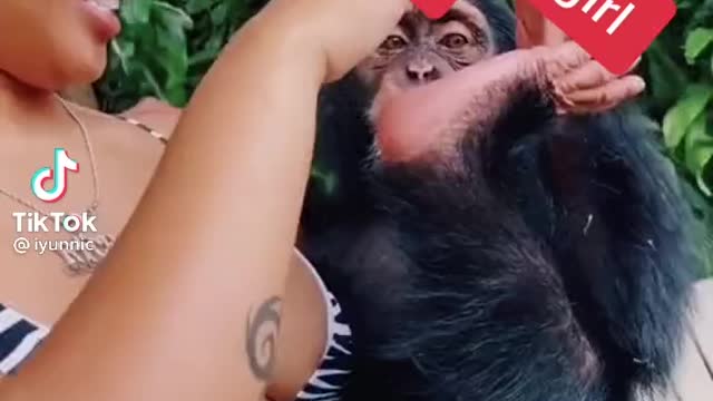 Monkey time fun