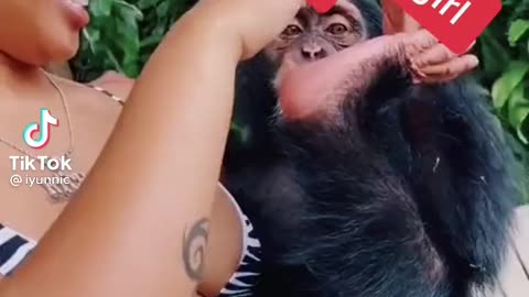 Monkey time fun