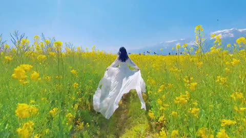 Rapeseed flowers bloom out to take pictures to stay