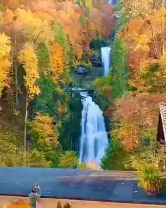 Beautiful Natural Video Clips