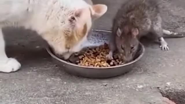 Need to share
