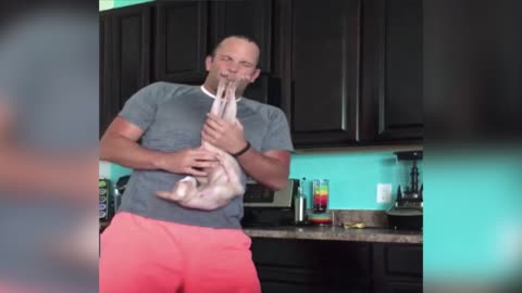 Man Plays “Careless Whisper” On His Hairless Cat