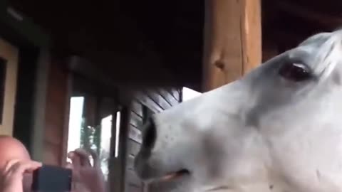 Try_Not_To_Laugh_Challenge