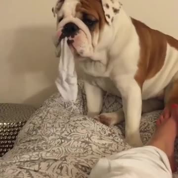 Hey mommy let me help you take out your socks