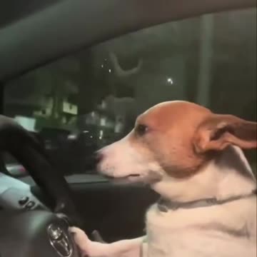 Driving late at night looking for a coffee joint 😂