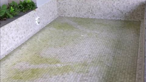 Duque's Pool Plaster - (346) 359-7984