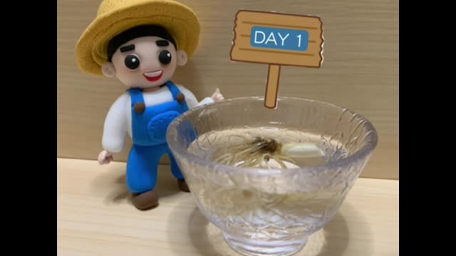 Hand craft by making a farmer