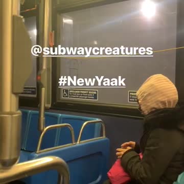 Public bus has penises drawn all over windows