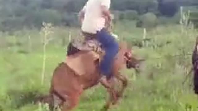 the animal is gross Try not to laugh