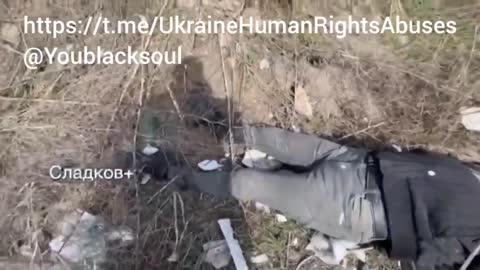 Civilian Murdered by Azov/Ukraine Armed Forces near Mariupol.