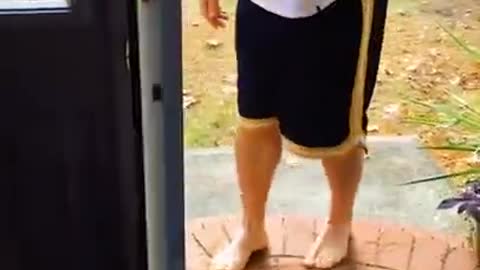 Baby Dogs - Cute and Funny Dog Video