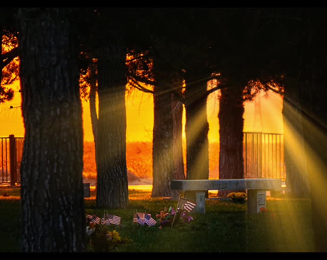 VETERAN'S MEMORIAL PARK PANORAMA VIDEO