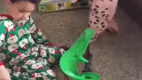 Baby videos | Funny babies videos |
