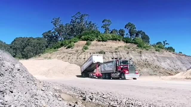 This truck unloaded cattle # American trucker