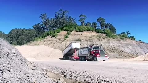 This truck unloaded cattle # American trucker