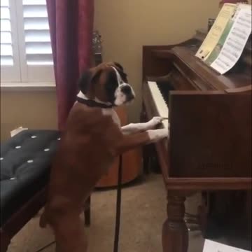 That's lovely! I sing myself, I accompany myself ... 😁