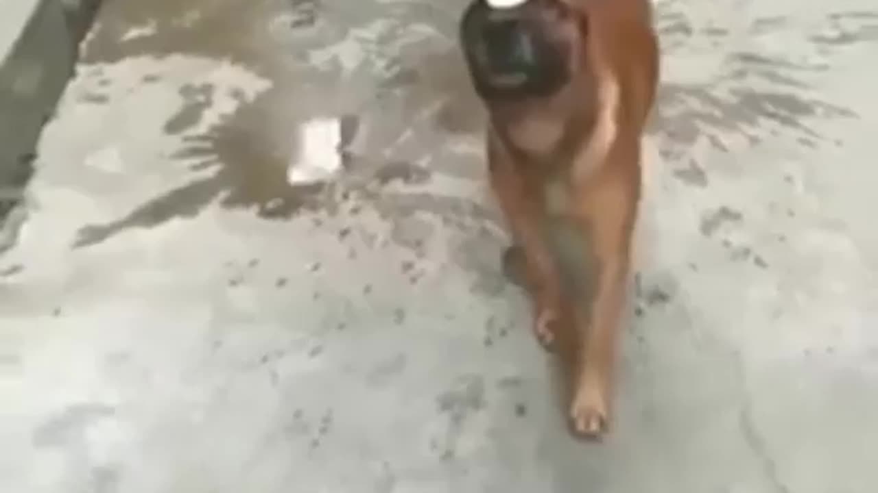 Funny