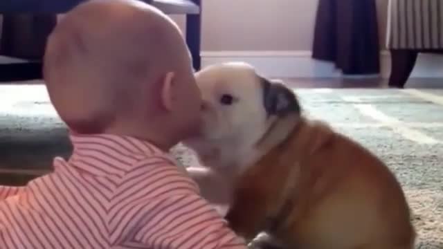 The baby plays with the dog