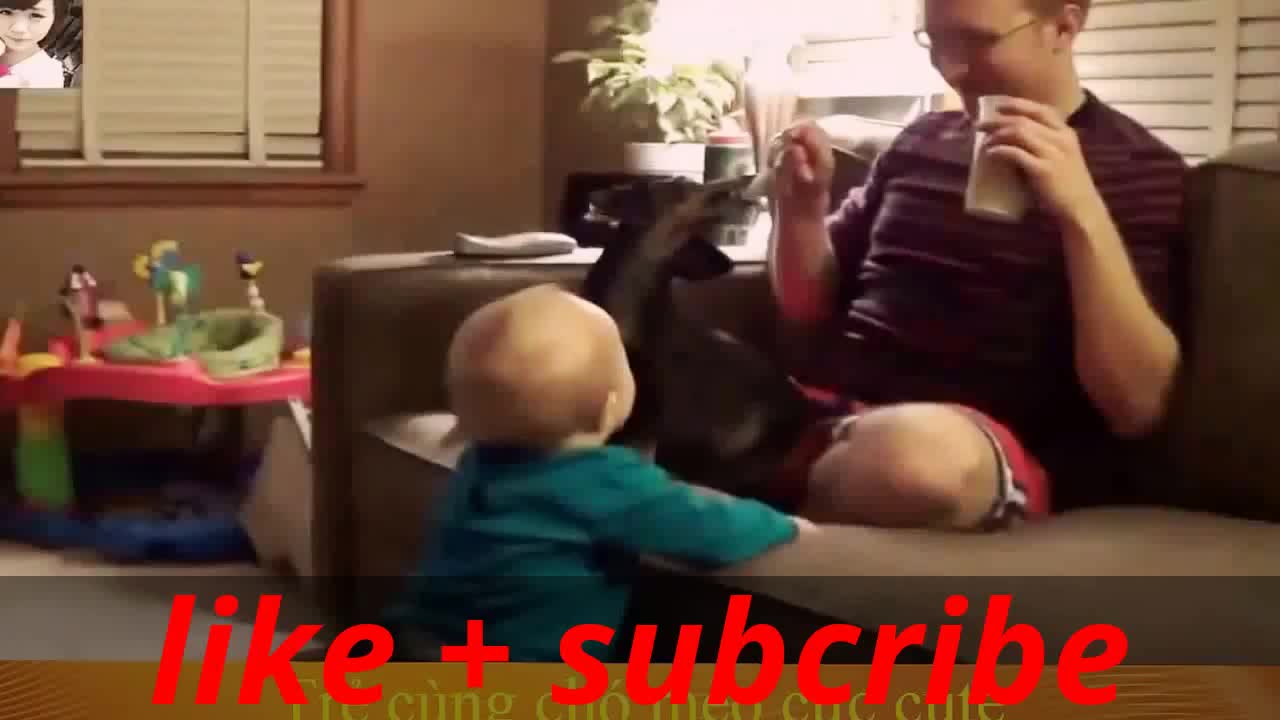 Funny videos for kid compilation #1