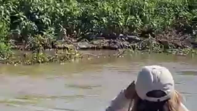 Fromthefield What's it like to witness one of the world's stealthiest predators hunt? Well...