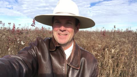 Why People Don’t Crash More Often