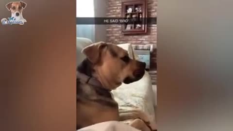 Do you Need a Laugh? Watch This Video, Laughs are Guaranteed
