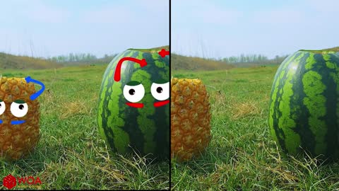 Experiment: Coca-Cola and Mentos VS Watermelon | Woa Doodles Funny Videos