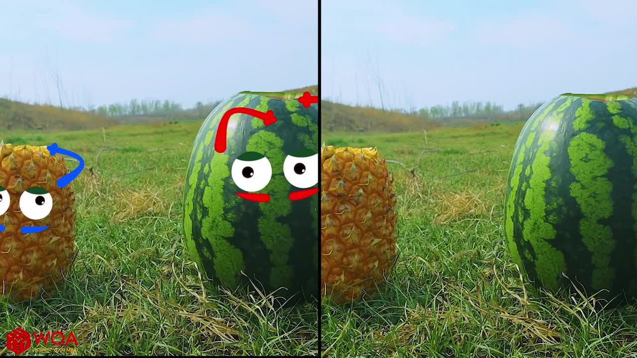Experiment: Coca-Cola and Mentos VS Watermelon | Woa Doodles Funny Videos