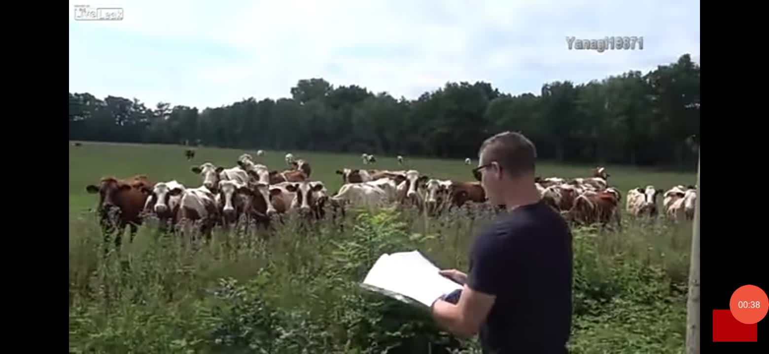 Ogłoszenia parafialne/srowidowe zamiast 📺🎪