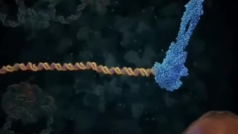 YOUR DNA REPAIRS ITSELF