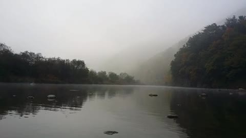 Morning river landscape