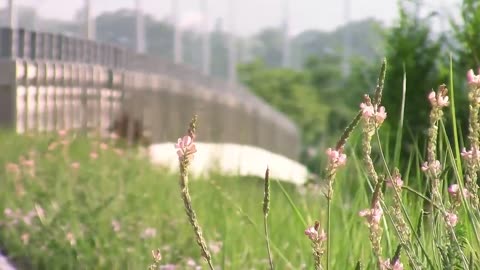 Feel the breath of nature, relax and enjoy life.