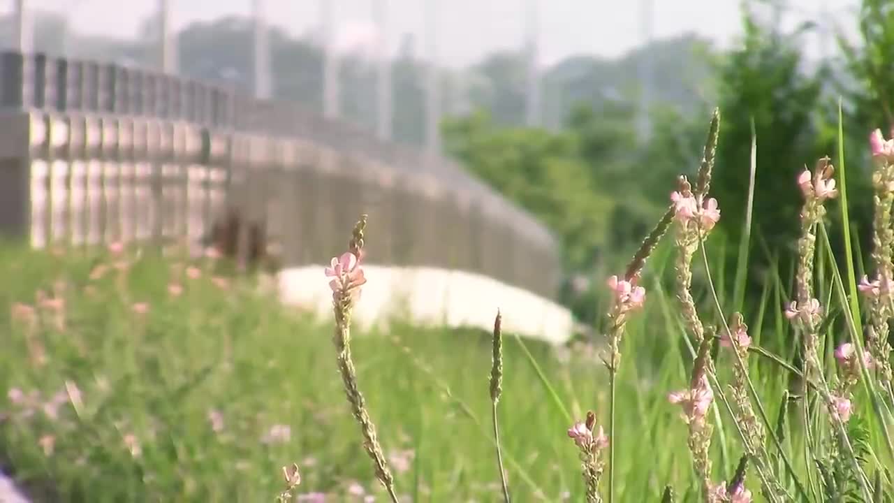 Feel the breath of nature, relax and enjoy life.