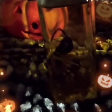 🎃OLIO STREGATO E EXTRAILLIBATO