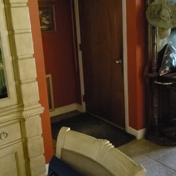 Goldendoodle 911 serenade 9.23.22