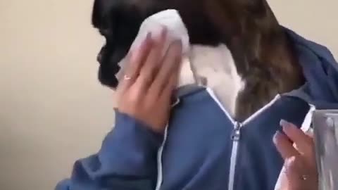 My cute dog