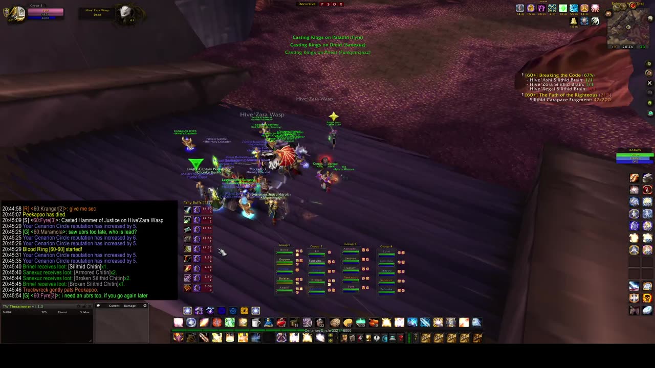 Turtle Wow - PUG AQ20 run - 21 April - paladin POV - no commentary