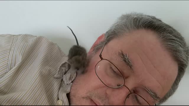 animal sharing is caring